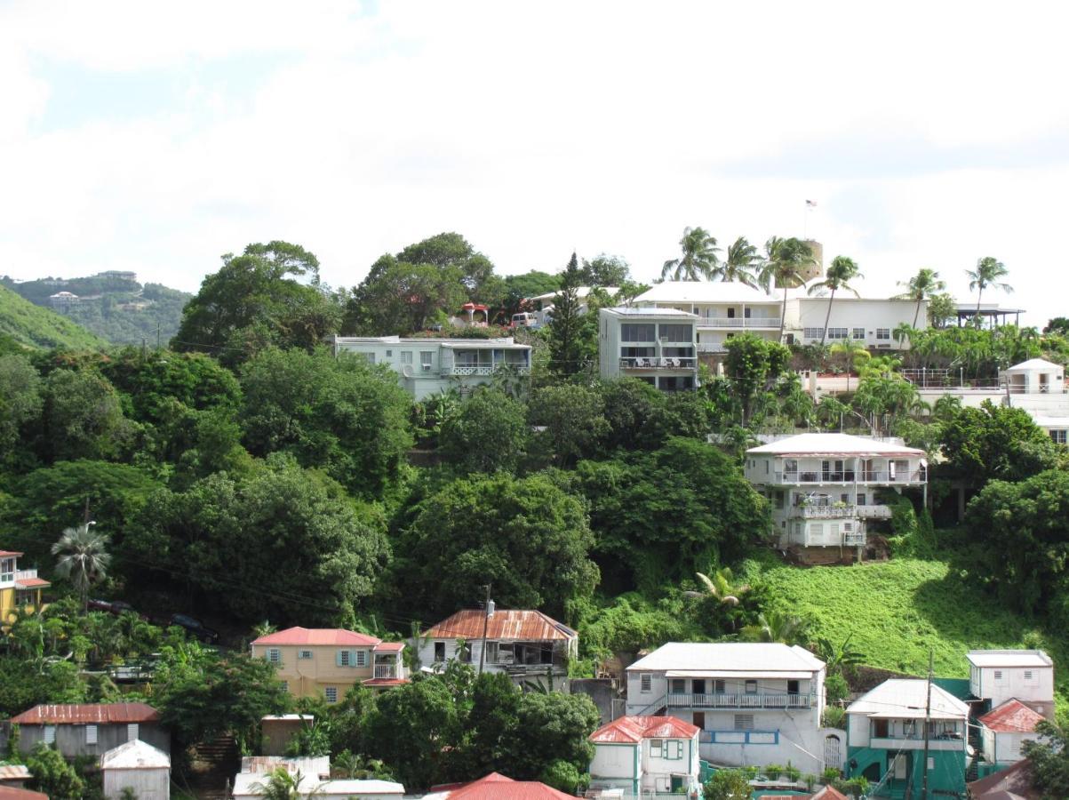 The Green Iguana Hotel Charlotte Amalie Luaran gambar