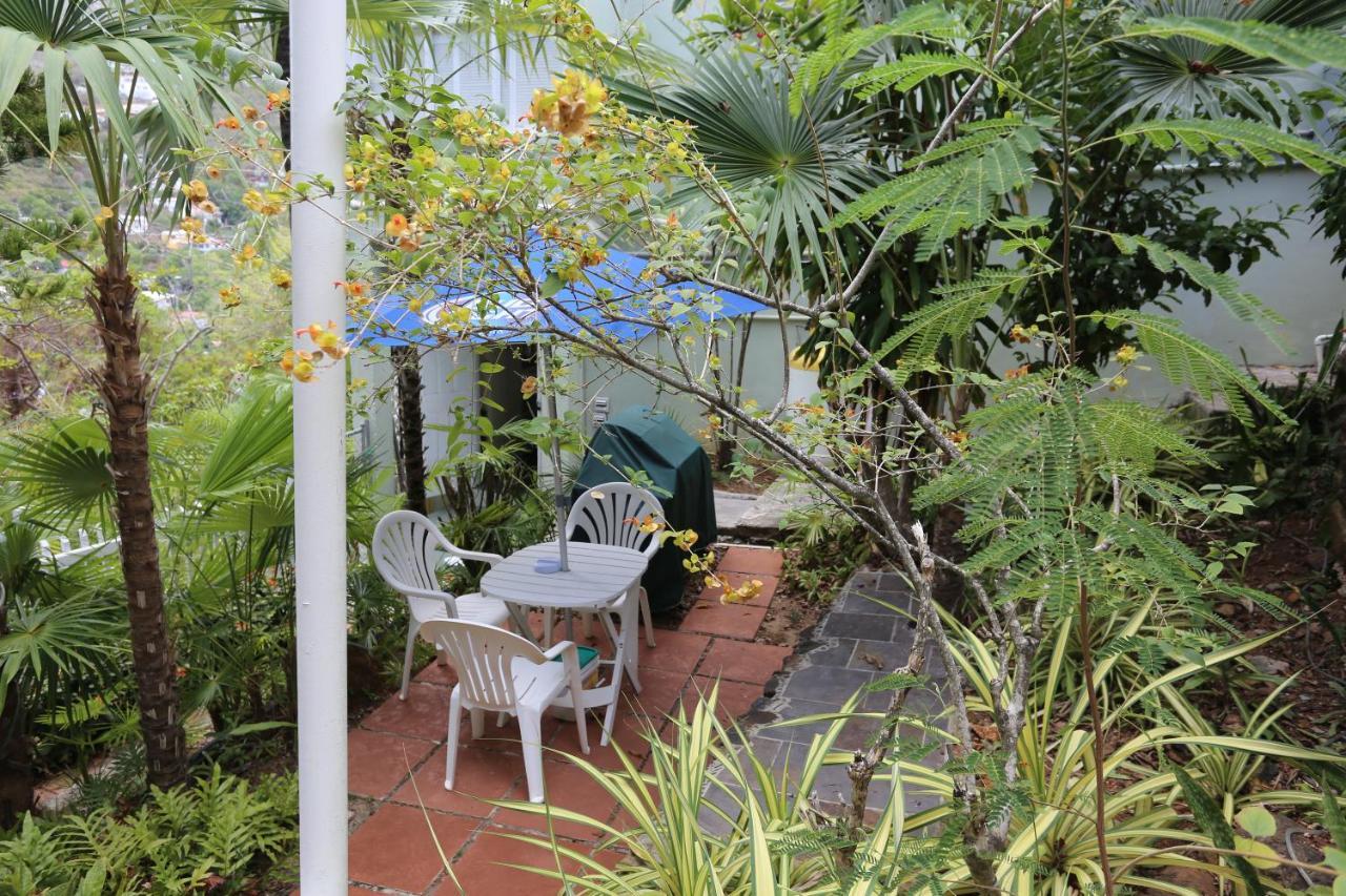 The Green Iguana Hotel Charlotte Amalie Luaran gambar