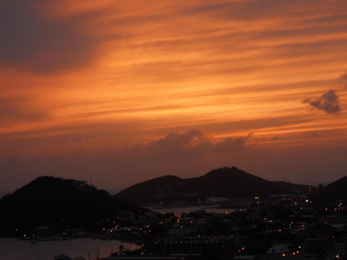 The Green Iguana Hotel Charlotte Amalie Luaran gambar