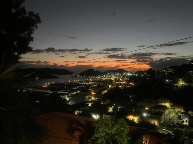 The Green Iguana Hotel Charlotte Amalie Luaran gambar