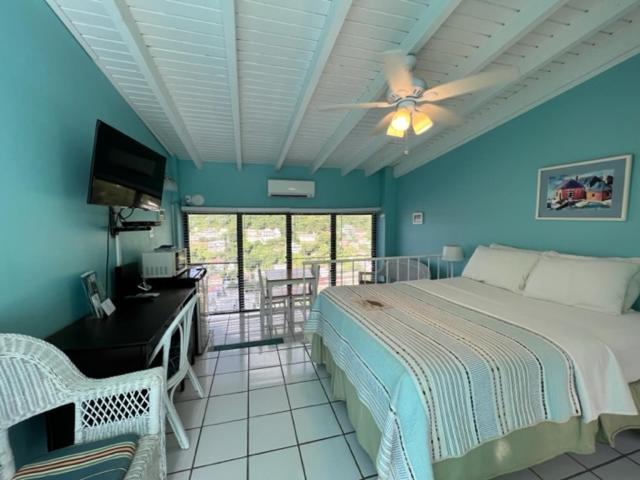 The Green Iguana Hotel Charlotte Amalie Luaran gambar