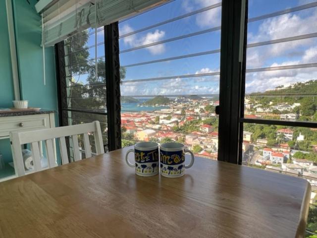 The Green Iguana Hotel Charlotte Amalie Luaran gambar
