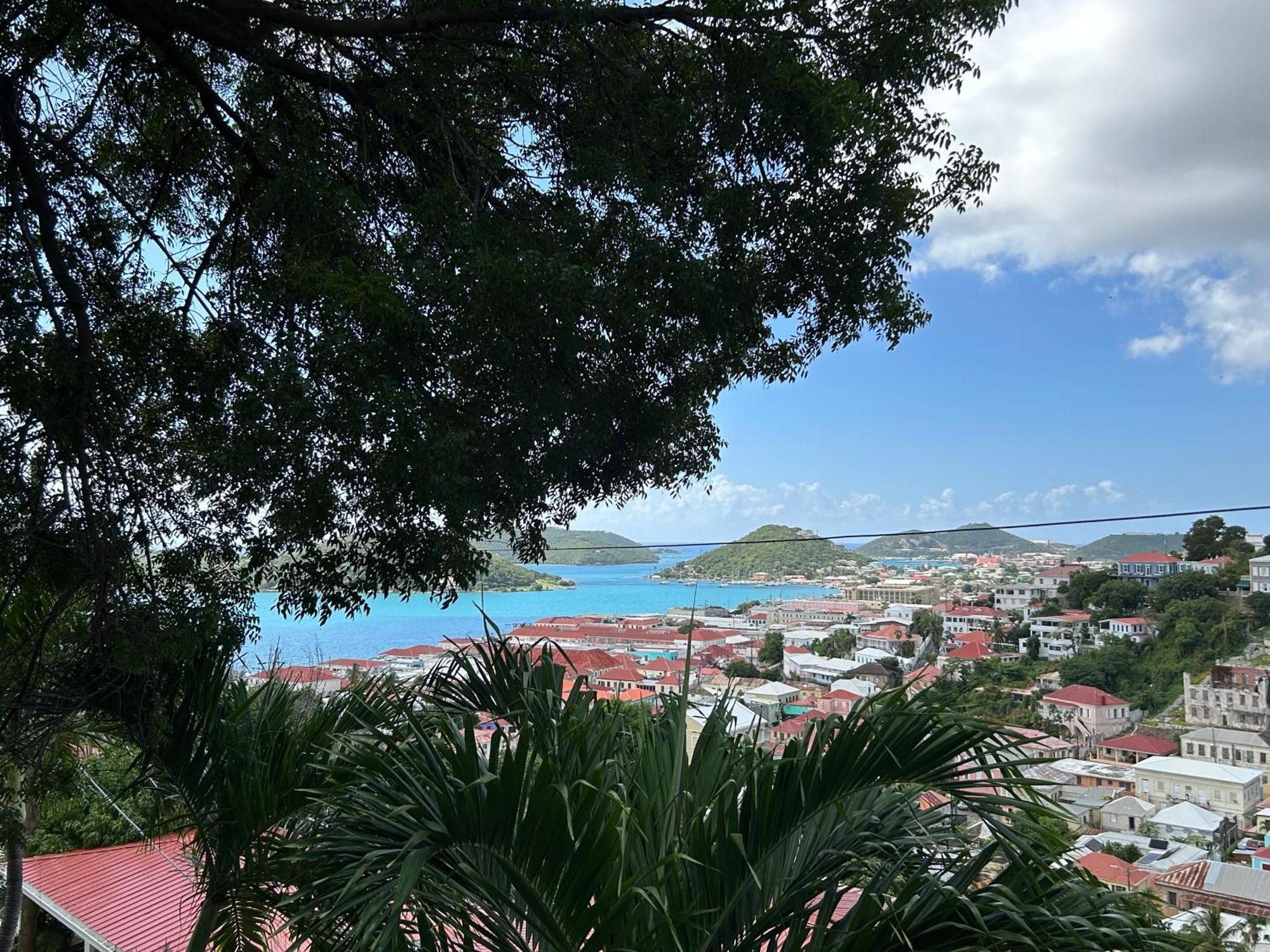 The Green Iguana Hotel Charlotte Amalie Luaran gambar